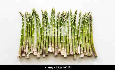 Eine Reihe frischer roher Spargelstiele, isoliert vor weißem Hintergrund. Stockfoto