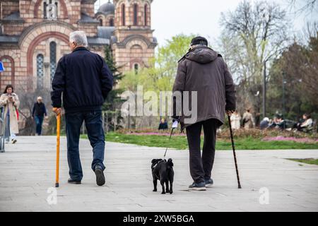 Zwei ältere Senioren spazieren in einem Park mit Stangen, einer begleitet von einem Hund, mit der Markuskirche in Belgrad als malerischer Kulisse Stockfoto