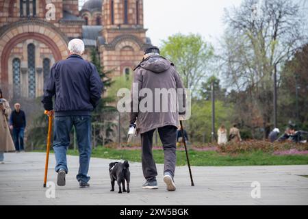 Zwei ältere Senioren spazieren in einem Park mit Stangen, einer begleitet von einem Hund, mit der Markuskirche in Belgrad als malerischer Kulisse Stockfoto