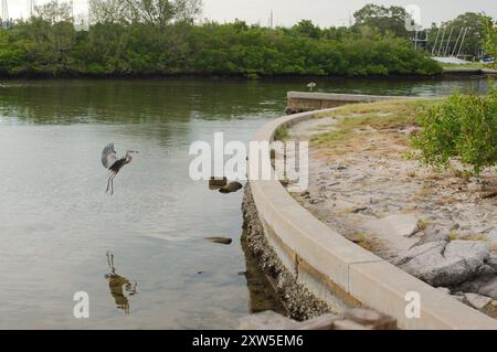 Weitsicht-Schotterhaufen links zur elektrischen Umspannstation für Baumaschinen mit Hochspannungsleitungen in St. Petersburg, Florida. Blick auf das grüne Gras Stockfoto