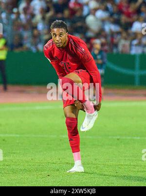 Michael Olise (FCB 17) im Spiel SSV ULM - FC BAYERN MÜNCHEN 0-4 DFB-Pokal, Deutscher Fußball-Cup, 1.Runde am 16. August 2024 in Ulm. Saison 2024/2025 Fotograf: Peter Schatz - DFB-VORSCHRIFTEN VERBIETEN JEDE VERWENDUNG VON FOTOGRAFIEN als BILDSEQUENZEN und/oder QUASI-VIDEO - Stockfoto