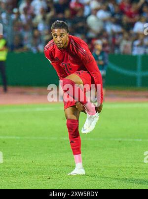 Ulm, Deutschland. August 2024. Michael Olise (FCB 17) im Spiel SSV ULM - FC BAYERN MÜNCHEN 0-4 DFB-Pokal, Deutscher Fußball-Cup, 1.Runde am 16. August 2024 in Ulm. Saison 2024/2025 Fotograf: ddp-Bilder/STAR-Bilder - DFB-VORSCHRIFTEN VERBIETEN JEDE VERWENDUNG VON FOTOGRAFIEN als BILDSEQUENZEN und/oder QUASI-VIDEO - Credit: ddp Media GmbH/Alamy Live News Stockfoto