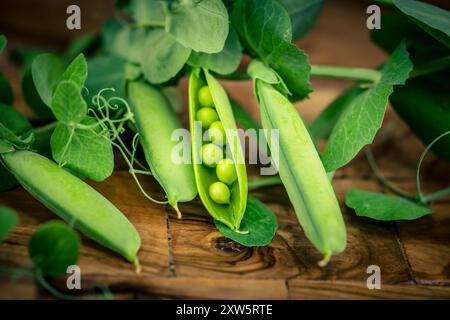 Peas Pisum sativum auf Olivenholz für eine Erbsensuppe Stockfoto