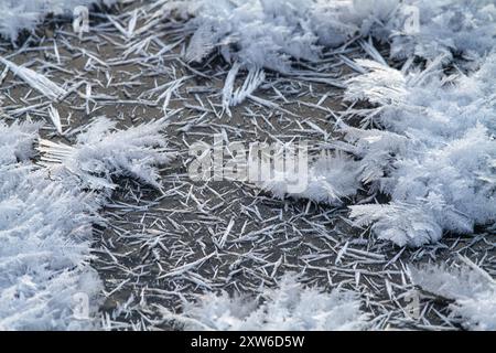 Es ist sehr kalt. Eiskristalle bedeckten die Oberfläche des dunklen Flusseises mit einer flauschigen Decke. Die niedrige Wintersonne erleuchtet die Kristalle. Stockfoto
