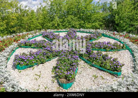 Blühende Seidenblüten (Ageratum houstonianum) in blauhaarigen Korymbusformen. Lila Blumen im Sommergarten. Stockfoto