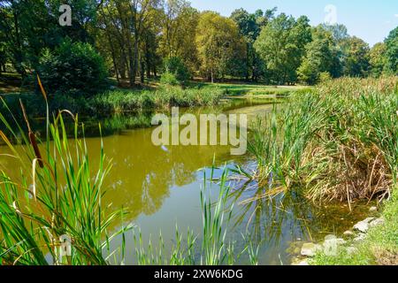 Kleiner See zwischen grünem Wald Stockfoto