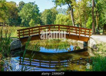Eine Holzbrücke über einen kleinen Bach im Park im Frühjahr. Stockfoto