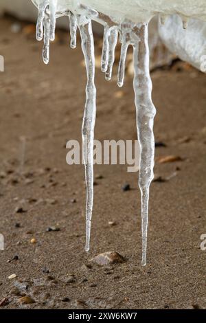 Ein paar Eiszapfen hängen von einer Eisscholle am Strand, die über einem Sandstrand hängt. Schmelzwasser tropft über die Eiszapfen und tropft auf den Sand. Stockfoto