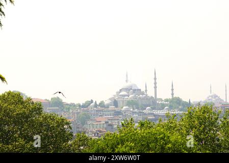 Blick von der Marmorterrasse des Topkapi-Palastes: Panorama auf den historischen Teil von Istanbul mit den Moscheen Suleymaniye und Fatih des Sultans Stockfoto