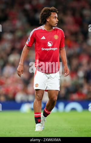 Manchester United Stürmer Joshua Zirkzee (11) während des Spiels Manchester United FC gegen Fulham FC English Premier League in Old Trafford, Manchester, England, Großbritannien am 16. August 2024 Credit: Every Second Media/Alamy Live News Stockfoto