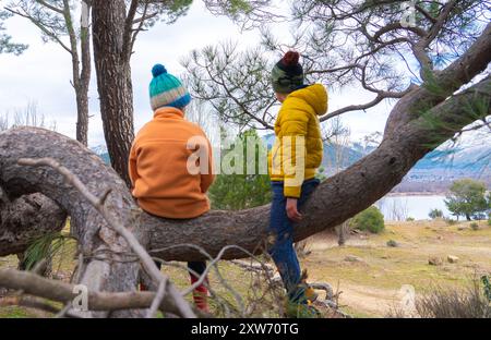 Zwei nicht erkennbare Kinder sitzen auf einem Baumzweig in einem Wald und blicken in die kalte Jahreszeit auf eine Landschaft mit See und Bergen Stockfoto