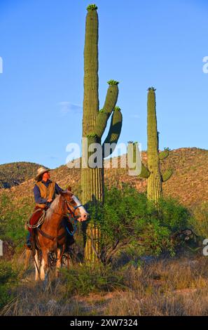 USA. ARIZONA. TUCSON. TANQUE VERDE RANCH. KUHMÄDCHEN IN DER NÄHE EINES SAGUARO-KAKTUS. Stockfoto