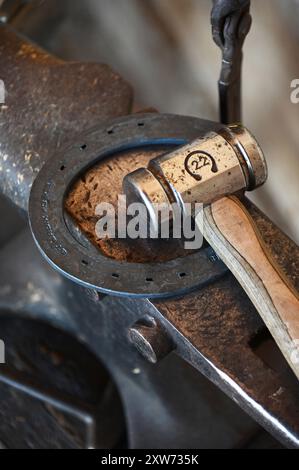 USA. ARIZONA. TUCSON. TANQUE VERDE RANCH. HUFEISEN AUF DER RANCH. Stockfoto