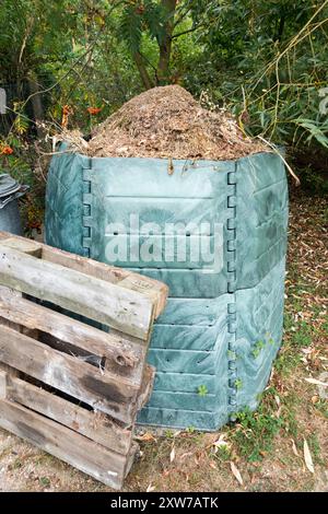 Kunststoff-Komposter - Abfalleimer im Garten, gefüllt mit geschnittenem Gras Stockfoto
