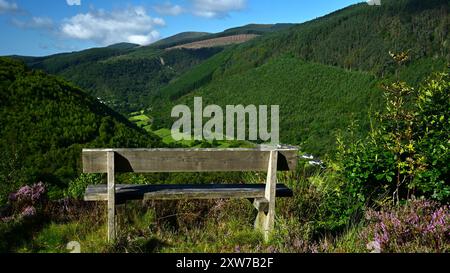 Dyfi Forest - Foel Friog Walking Route und Teil des National Forest for Wales Network mit Pen y Bryn Hill mit Blick auf Cader Idris und Dulas. Stockfoto