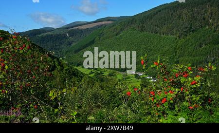 Dyfi Forest - Foel Friog Walking Route und Teil des National Forest for Wales Network mit Pen y Bryn Hill mit Blick auf Cader Idris und Dulas. Stockfoto