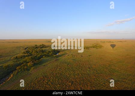 Eine wunderschöne Fahrt im Heißluftballon am frühen Morgen über die Masai Mara in Kenia Stockfoto