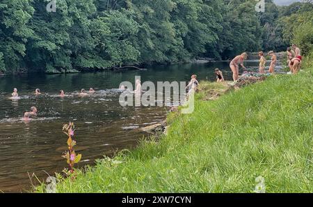 Brecon Beacons, Wales, Großbritannien. August 2024. Wetter in Großbritannien: Wildes Schwimmen im Fluss Usk, Brecon Beacons, Wales. Hinweis: Nidpor/Alamy Live News Stockfoto