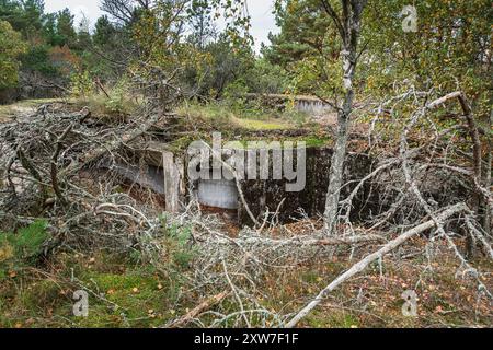 Alte Küste Batareya Raul im Nationalpark Kurische Nehrung. Morskoe. Region Kaliningrad. Russland Stockfoto