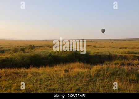 Eine wunderschöne Fahrt im Heißluftballon am frühen Morgen über die Masai Mara in Kenia Stockfoto