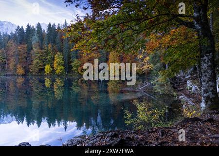 Ein kristallklarer See zwischen Bergen und herbstlich gefärbtem Wald Stockfoto