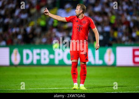 Ulm, Deutschland. August 2024. Fußball: DFB Cup, SSV Ulm 1846 - Bayern München, 1. Runde, Donaustadion. Münchner Harry Kane gestikuliert. Quelle: Tom Weller/dpa/Alamy Live News Stockfoto