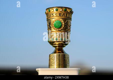 16. August 2024, Baden-Württemberg, Ulm: Fußball: DFB-Cup, SSV Ulm 1846 - Bayern München, 1. Runde, Donaustadion. Der DFB Cup ist vor Spielbeginn im Stadion. Foto: Tom Weller/dpa Stockfoto