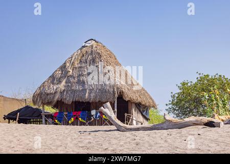 Karettschildkröte (Eretmochelys imbricata) Zentrum Hütte am Strand im Juan Venado Insel Naturschutzgebiet in Nicaragua Zentralamerika Stockfoto