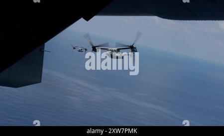 U.S. Marine Corps MV-22B Ospreys mit der Marine Medium Tiltrotor Squadron 262 (rein.), 31. Marine Expeditionary Unit, die zum Amphibio fliegt Stockfoto