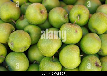 Saftige frische Äpfel auf Basar Stockfoto