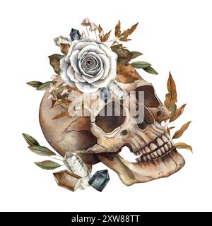 Schädel mit weißen Rosen, grünen und herbstlichen Blättern, glitzernden Kristallen und Pilzen. Aquarellillustration handgezeichnet in gotischem Stil für Halloween d Stockfoto