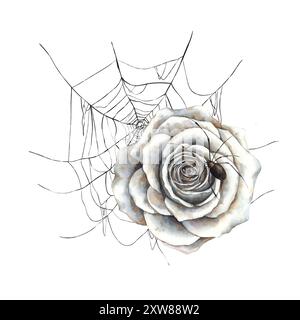 Durchbrochenes Spinnennetz, weiße Vintage Rosen und schwarze gotische Spinne. Handgemachte Aquarellillustration auf isoliertem Hintergrund. Die Abbildung ist geeignet für Stockfoto