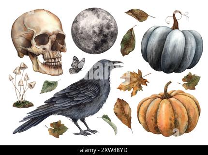 Rabe, Schädel, schwarzer und oranger Kürbis, Herbstblätter, Pilze, Schmetterling, Mond. Set mit herbstlichen Illustrationen für Halloween. Für Verpackungsdesign, ca. Stockfoto