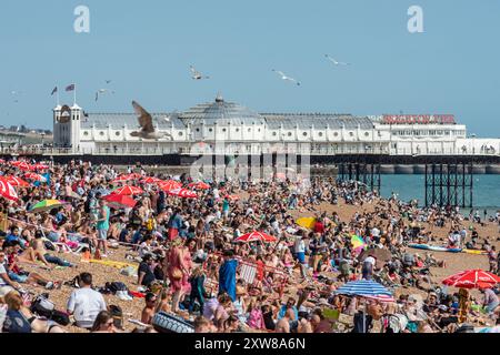 Brighton, 17. August 2024: Menschenmassen genießen das herrliche August-Wetter am Brighton Beach heute Nachmittag Stockfoto