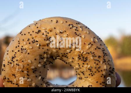 Nahaufnahme eines Sesam-Bagel vor einer verschwommenen natürlichen Kulisse – mit Textur und Details. Aufgenommen in Toronto, Kanada. Stockfoto