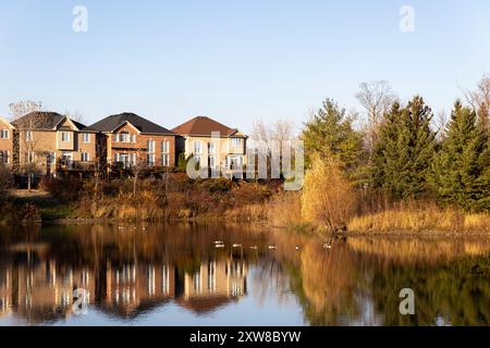 Die von Sonnenuntergang beleuchteten Vorstadthäuser reflektieren auf einem ruhigen Teich, flankiert von herbstlichen Bäumen und besucht von einer Gänsenherde. Aufgenommen in Toronto, Kanada. Stockfoto