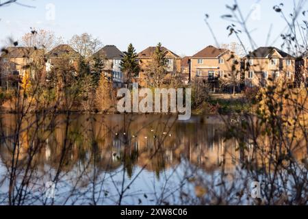 Die bei Sonnenuntergang beleuchteten Vorstadthäuser reflektieren auf einem ruhigen Teich, der von herbstlichen Ästen und Gänsen eingerahmt wird. Aufgenommen in Toronto, Kanada. Stockfoto