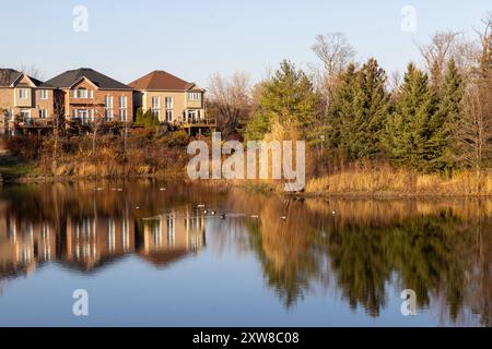 Die von Sonnenuntergang beleuchteten Vorstadthäuser reflektieren auf einem ruhigen Teich, flankiert von herbstlichen Bäumen und besucht von einer Gänsenherde. Aufgenommen in Toronto, Kanada. Stockfoto