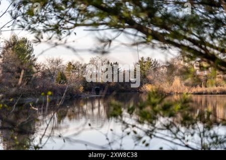 Ruhiger See mit Sonnenuntergang, der von Ästen im Vordergrund eingerahmt wird. Aufgenommen in Toronto, Kanada. Stockfoto