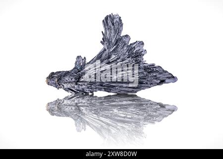 Stibnite-Fotografie isoliert auf weißem Schwarzgrund. Exemplar aus Herja Mine, Chiuzbaia, Baia Mare, Maramureș Rumänien. Hintergrund für Makrodetails. Stockfoto