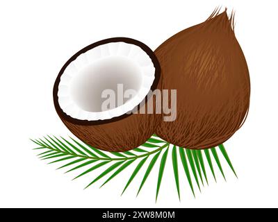 Kokosnuss mit Hälfte und Blättern auf weißem Hintergrund. Stock Vektor