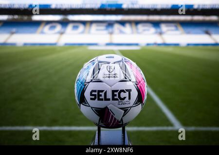 Odense, Dänemark. August 2024. Der Match Ball von Select ist bereit für das Gjensidige Kvindeliga Spiel zwischen ob Q und Broendby IF im Naturenergiepark Odense. Stockfoto