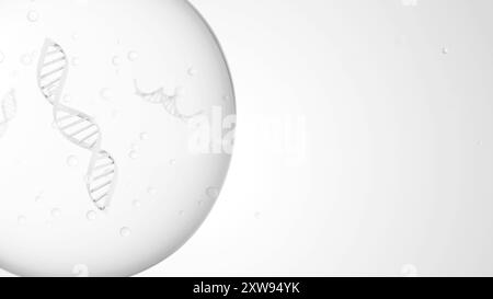 Ein paar DNA-Doppelspiralstränge in einer Zelle auf weißem Hintergrund. Wissenschafts- und Biotechnologiekonzept. 3D-Rendering-Abbildung Stockfoto