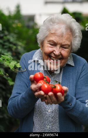 Stolze ältere Frau zeigt ihre eigene Tomatenernte. Sie hält reife rote Tomaten in den Händen, frisch aus dem Garten geerntet. Stockfoto