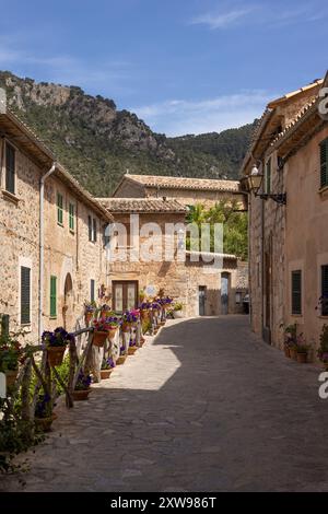 Charmante Gasse in Valldemossa, Mallorca, gesäumt von traditionellen Steinhäusern, bunten Holzläden und lebhaften Topfpflanzen an einem Sommertag. Stockfoto