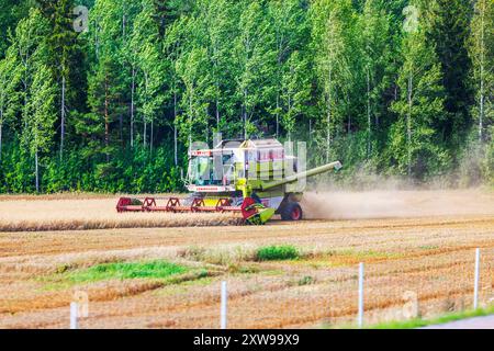 Nahaufnahme eines Mähdreschers, der Weizen auf einem landwirtschaftlichen Feld erntet, mit Staub, der dahinter aufsteigt und Wald im Hintergrund. Schweden. Stockfoto