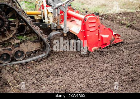 Ein Minitraktor mit einer Fräsmaschine pflügt an einem Herbsttag auf einem landwirtschaftlichen Feld den Boden. Stockfoto