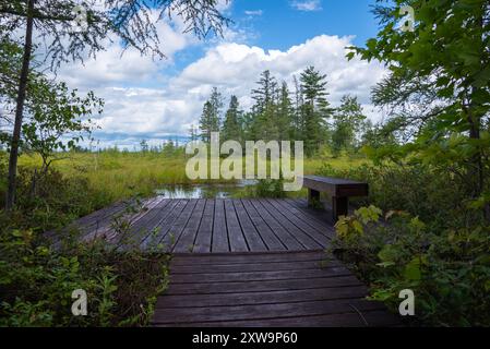 Trail of the Saint-Narcisse peat bog natural park (Saint-Narcisse, Quebec, Canada) Stock Photo