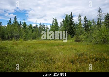 Saint-Narcisse peat bog natural park (Saint-Narcisse, Quebec, Canada) Stock Photo