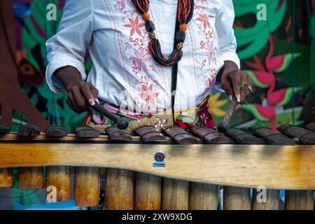 Cali, Kolumbien. August 2024. Tänzer und Musiker nehmen am 16. August 2024 Teil beim Petronio Alvarez Festival in Cali, Kolumbien. Foto: Sebastian Marmolejo/Long Visual Press Credit: Long Visual Press/Alamy Live News Stockfoto